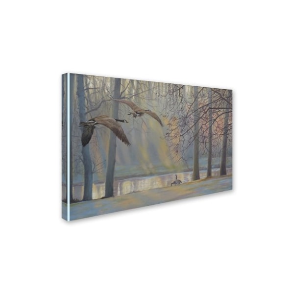 Rusty Frentner 'Geese An Pond' Canvas Art,16x24